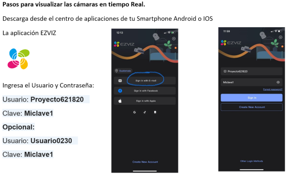 Camaras en tiempo real